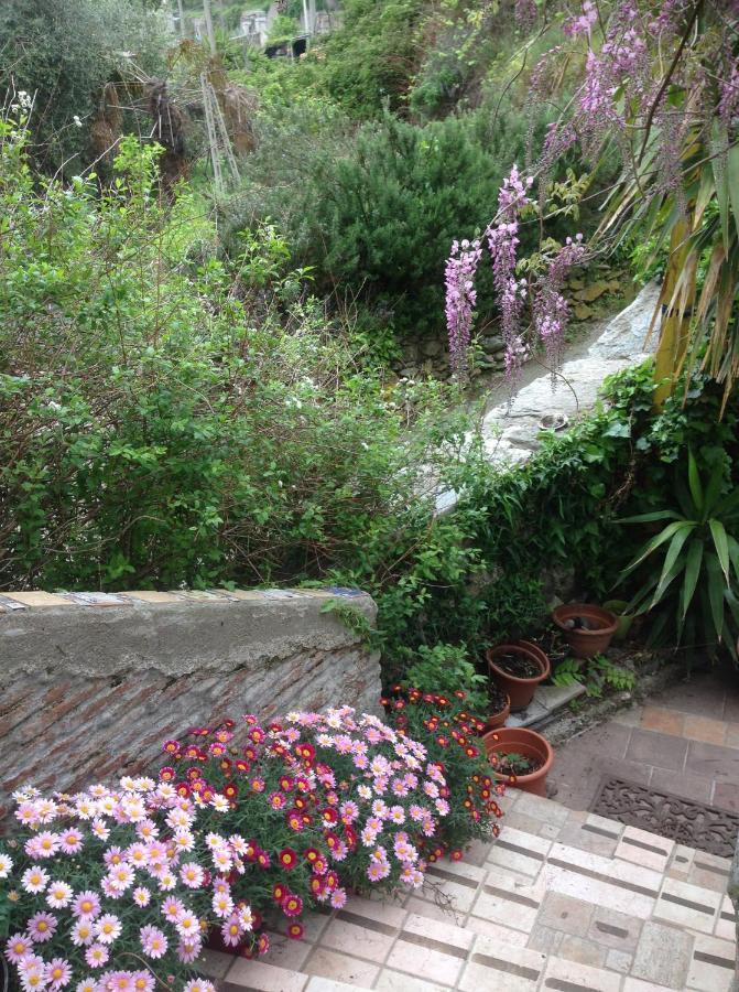 Bed and Breakfast La Luna E Sei Soldi Tovo San Giacomo Exterior foto